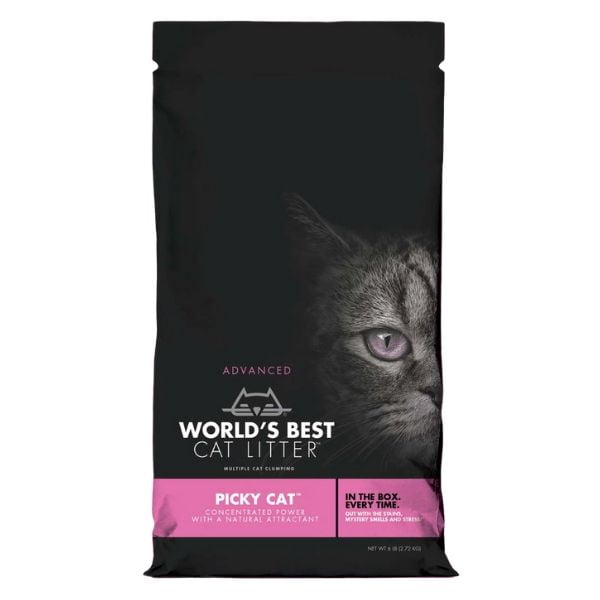 פיקי קט וורלד בסט.jpg