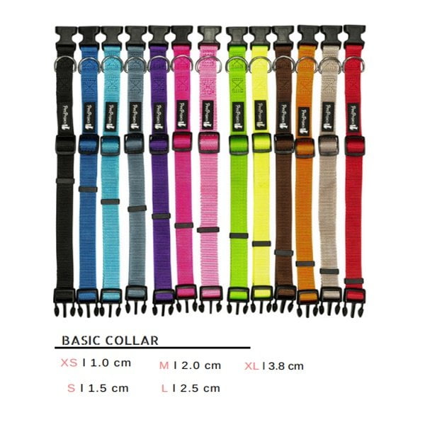 קולר בייסיק פטסלנד.jpg