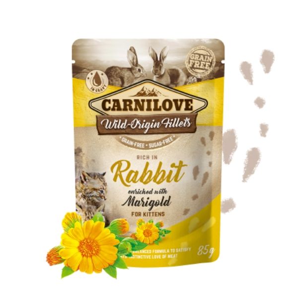 קרנילאב ארנבת 1.jpg