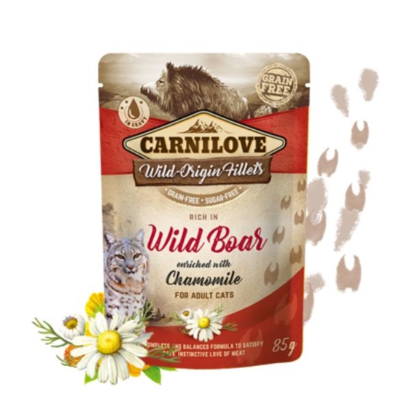 קרנילאב חזיר בר.jpg