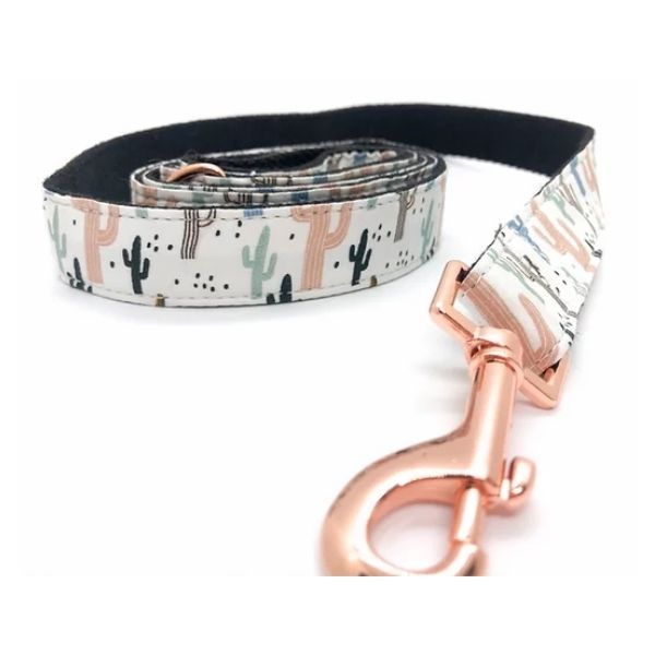 רצועה קקטוס.jpg