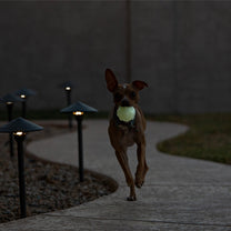 Jolly Jumper 2000x.jpg