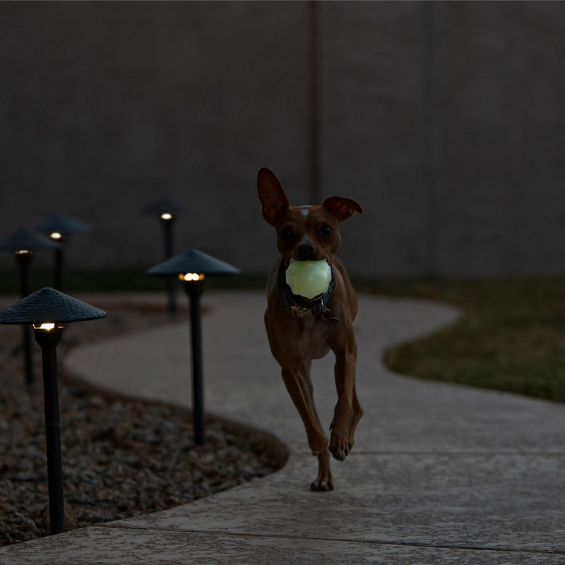 Jolly Jumper 2000x.jpg