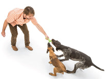 Skamp Twodogs.jpg