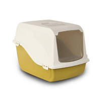 Toilet Ariely.png