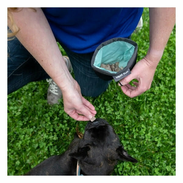 Untitled Design 2021 08 03t224219.247