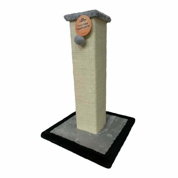 Untitled Design 23.jpg