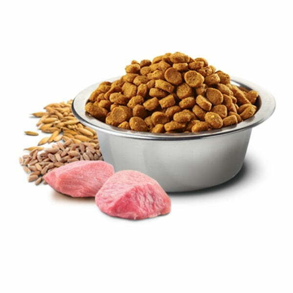 Untitled Design 27.jpg