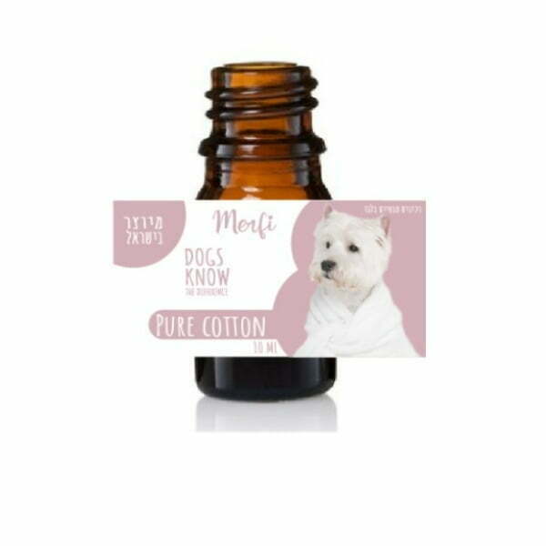 Untitled Design 29.jpg