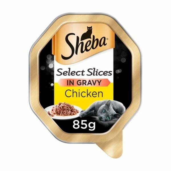 Untitled Design 43.jpg