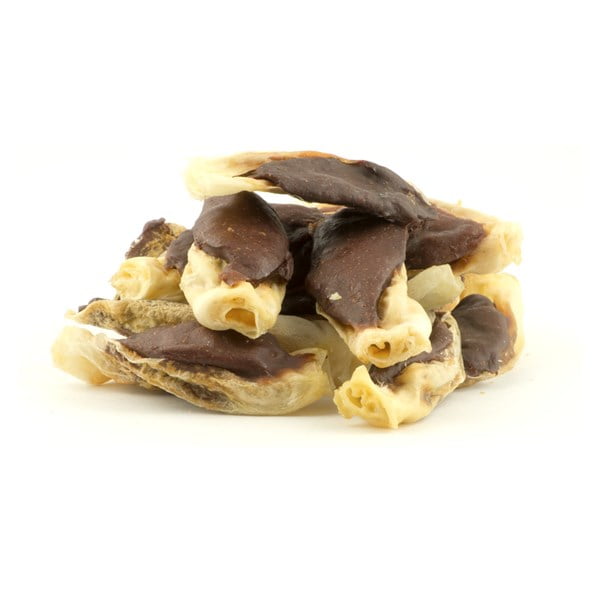 Dog Fest Ears With Lamb1.jpg