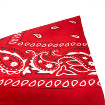 Whatsapp Image 2020 Axcyn.jpg