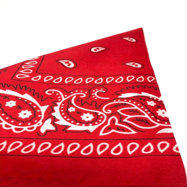 Whatsapp Image 2020 Axcyn.jpg